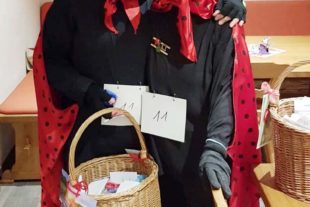 2020-2-28-BI-Melissa Schilli-Preismaskenball-Glückskäfer us Bibre