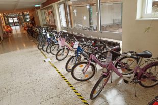 2020-2-7-BI-Sarah Gallus- Fahrzeugbasar- Elternbeirat der Grundschule Biberach-IMG_20200201_125509