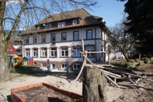 2020-3-18-OH-kal-Kinderhaus Sonnenblume-zzvkIMG_2873