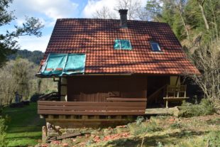 2020-3-2-NO-hv-Sturmschäden-DSC_0525