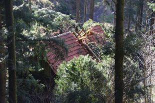 2020-3-2-NO-hv-Sturmschäden-DSC_0535