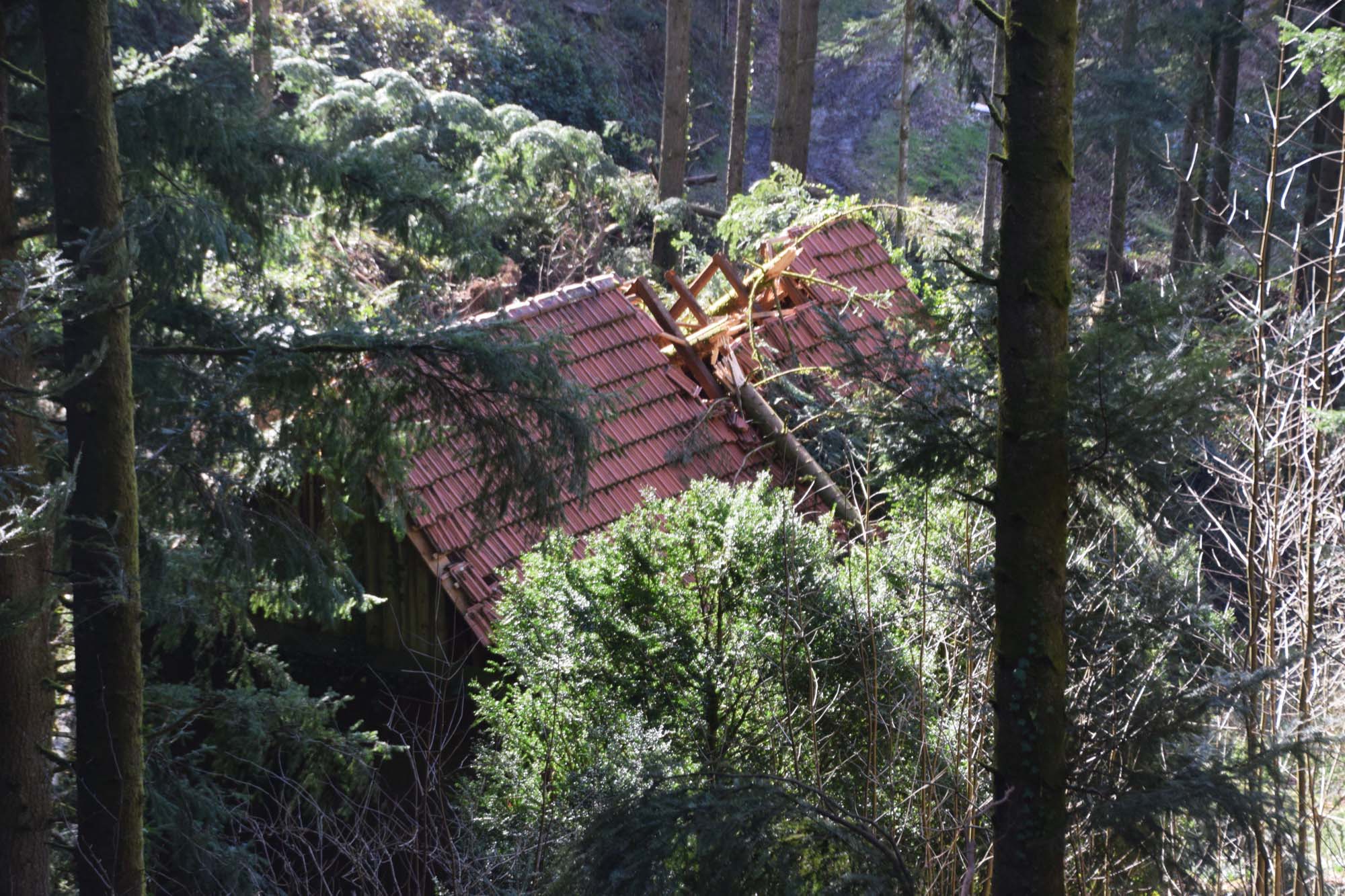 2020-3-2-NO-hv-Sturmschäden-DSC_0535