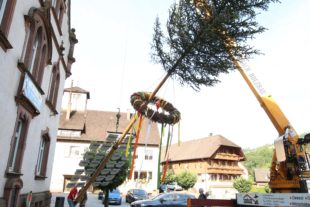 2020-3-20-OH-kal-Maifeschd abgesagt-zzvkMG8A1638