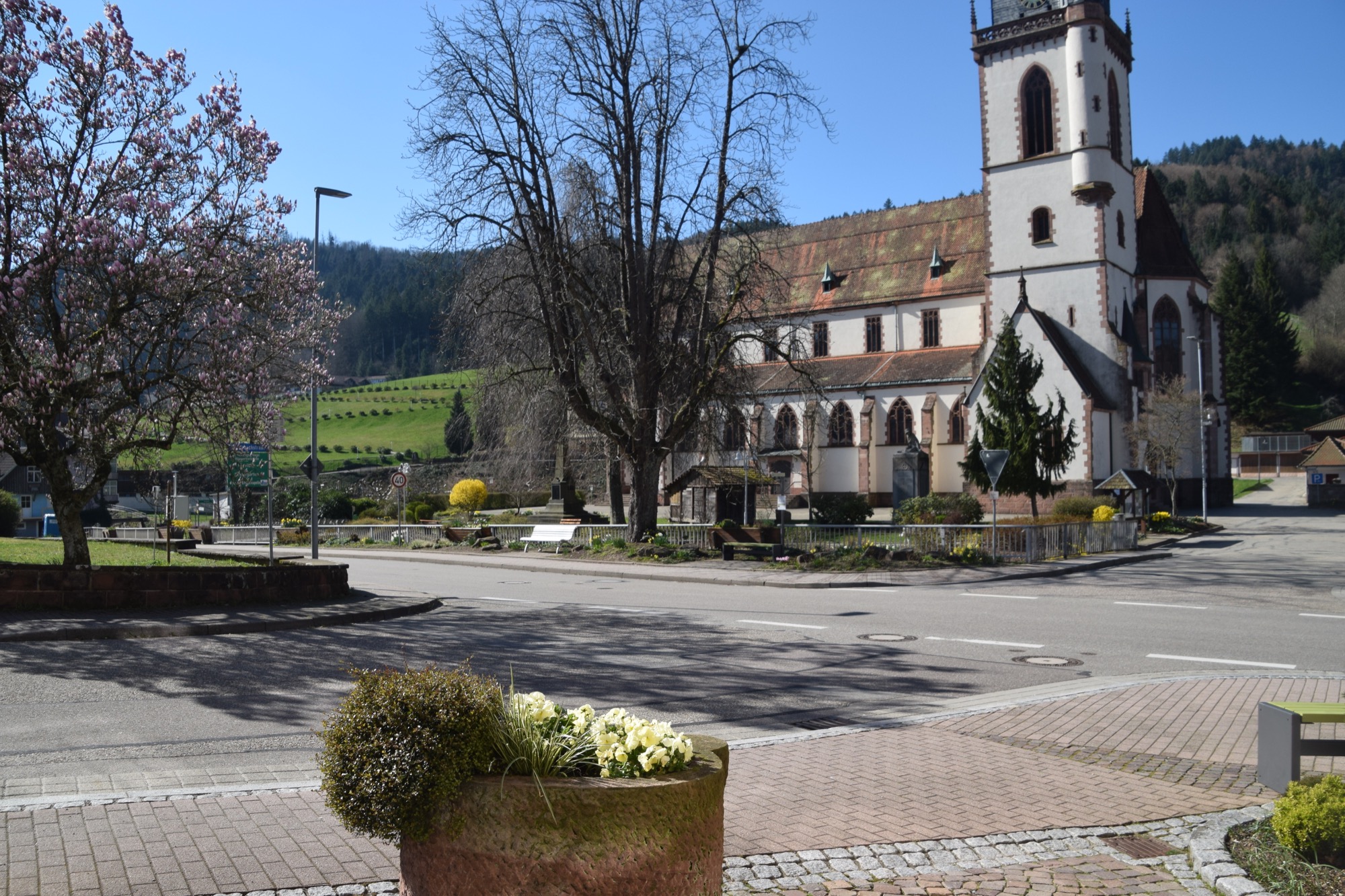 2020-3-23-NO-hv-Nordrach in der Corona-Starre-DSC_0560