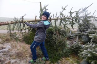 2020-3-25-ZE-OH-Ulrike Riehle-R 6b bei Daniels-Hof in OH-Bericht Leni Kech_2-Lukas