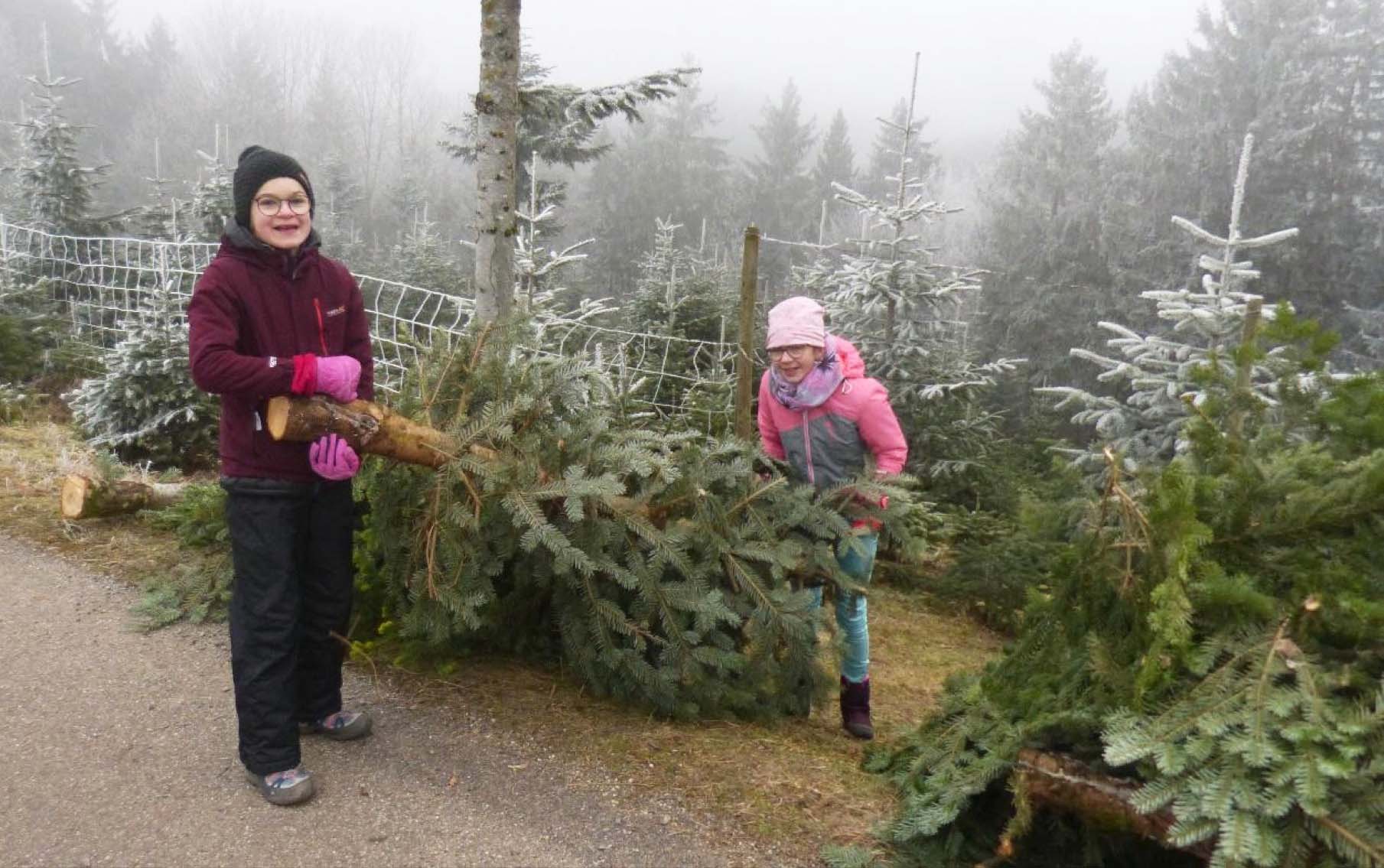 2020-3-25-ZE-OH-Ulrike Riehle-R 6b bei Daniels-Hof in OH-Bericht Leni Kech_3-Milla und Pia