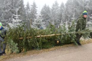 2020-3-25-ZE-OH-Ulrike Riehle-R 6b bei Daniels-Hof in OH-Bericht Leni Kech_5-Lukus-Julian