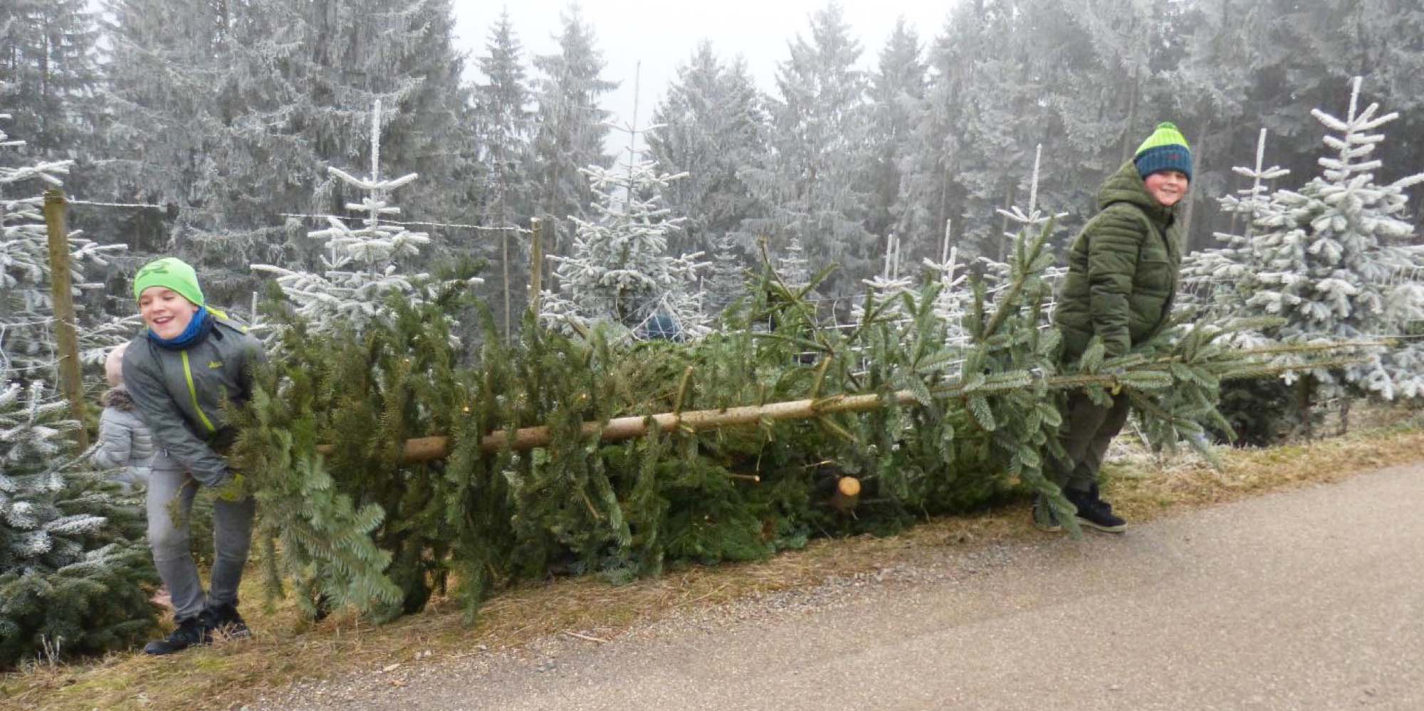 2020-3-25-ZE-OH-Ulrike Riehle-R 6b bei Daniels-Hof in OH-Bericht Leni Kech_5-Lukus-Julian