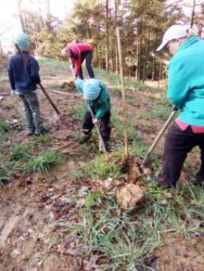 Waldkinder zeigen Verantwortung