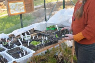 2020-3-27-BI-PB-hps-Rita Vitt Bauerngarten-DSC_4565 2