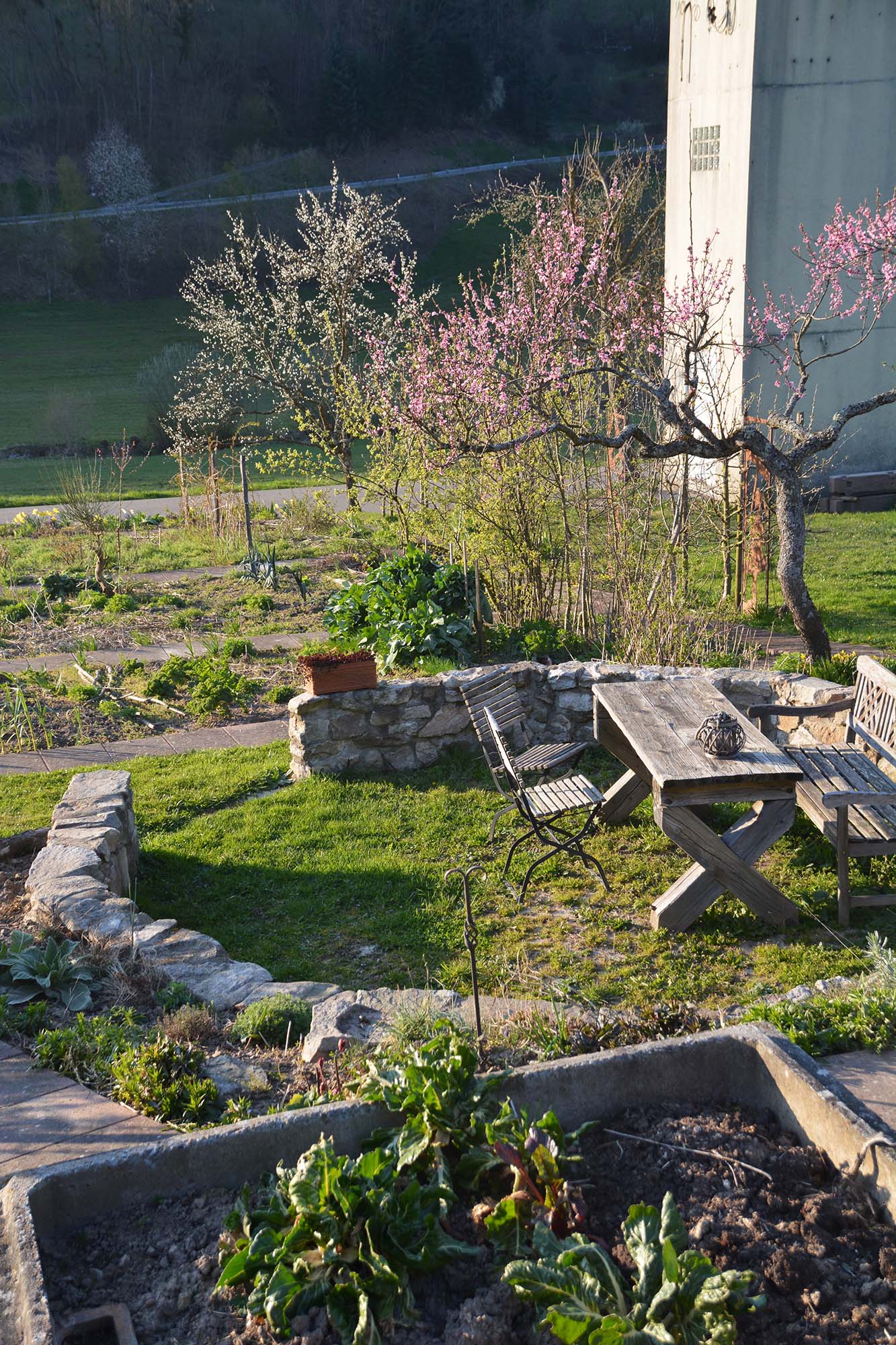 2020-3-27-BI-PB-hps-Rita Vitt Bauerngarten-DSC_4568 2