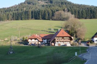 2020-3-27-BI-PB-hps-Rita Vitt Bauerngarten-DSC_4571 2