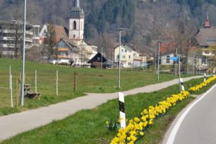 2020-3-27-NO-hps-Talstraße Osterglocken-DSC_4600 2