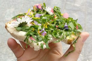 2020-3-4-OH-Tourist Info- Kräuter und Bärlauch in Oberharmersbach genießen