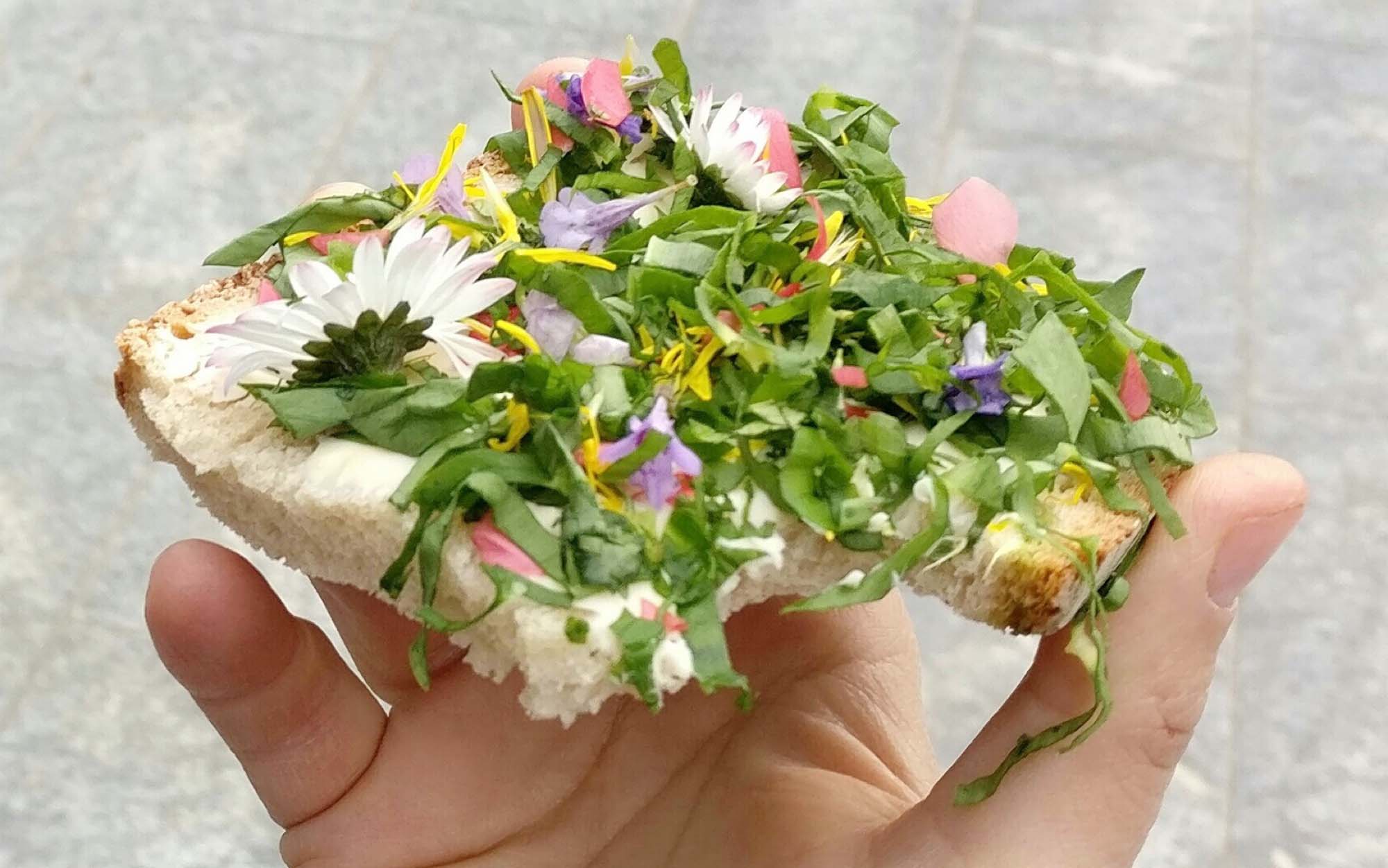 2020-3-4-OH-Tourist Info- Kräuter und Bärlauch in Oberharmersbach genießen