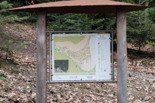 2020-3-6-Fußbach- Ruhewald BildtannDSCF3580