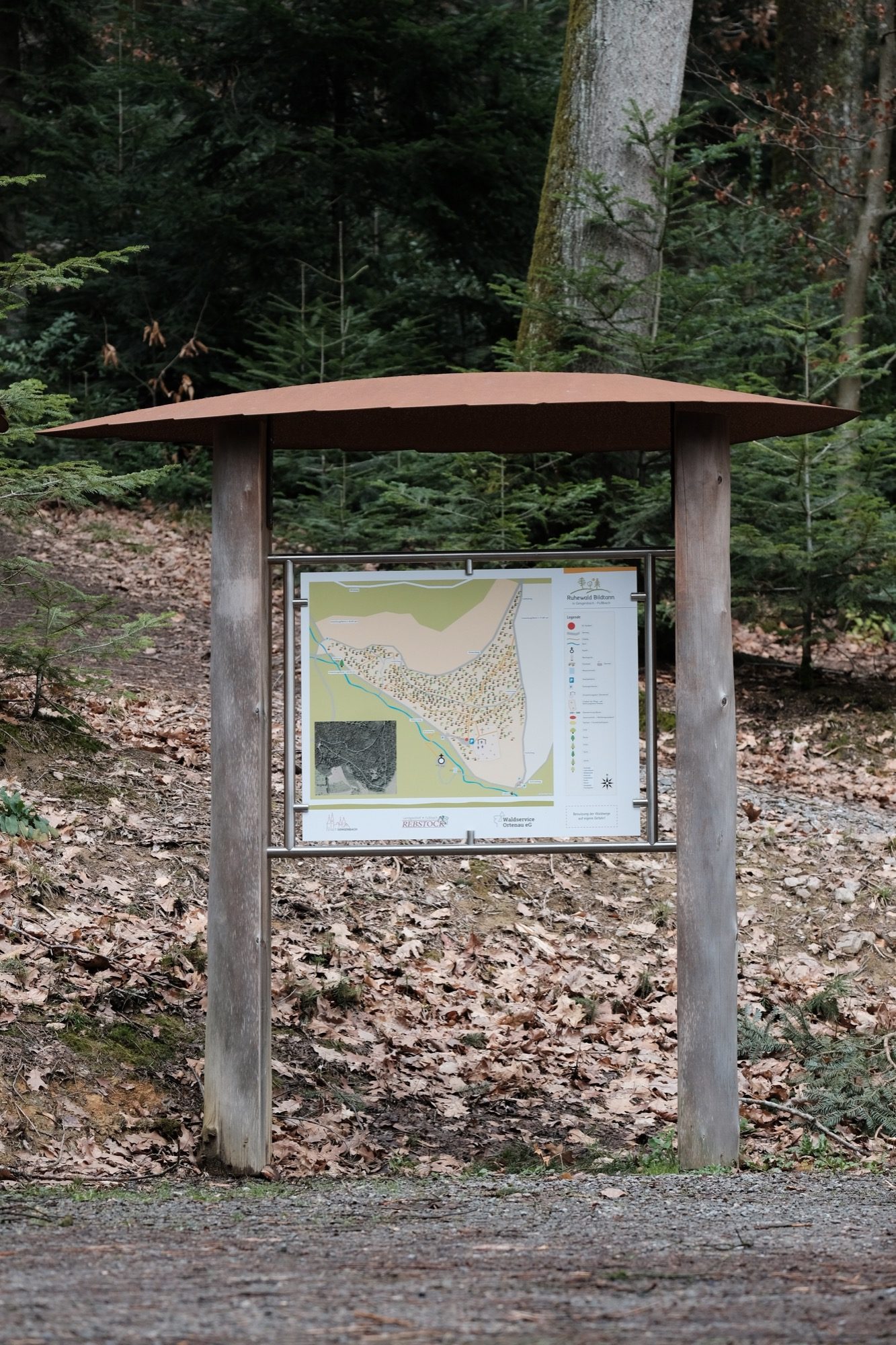 2020-3-6-Fußbach- Ruhewald BildtannDSCF3580