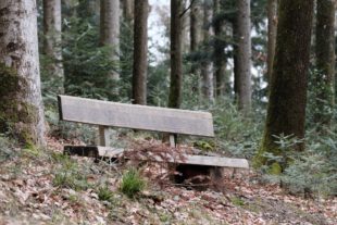 2020-3-6-Fußbach- Ruhewald BildtannDSCF3592