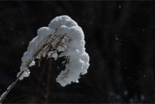 2020-4-1-OH-Robert Schwendemann-Wintereinbruch-DSC01706