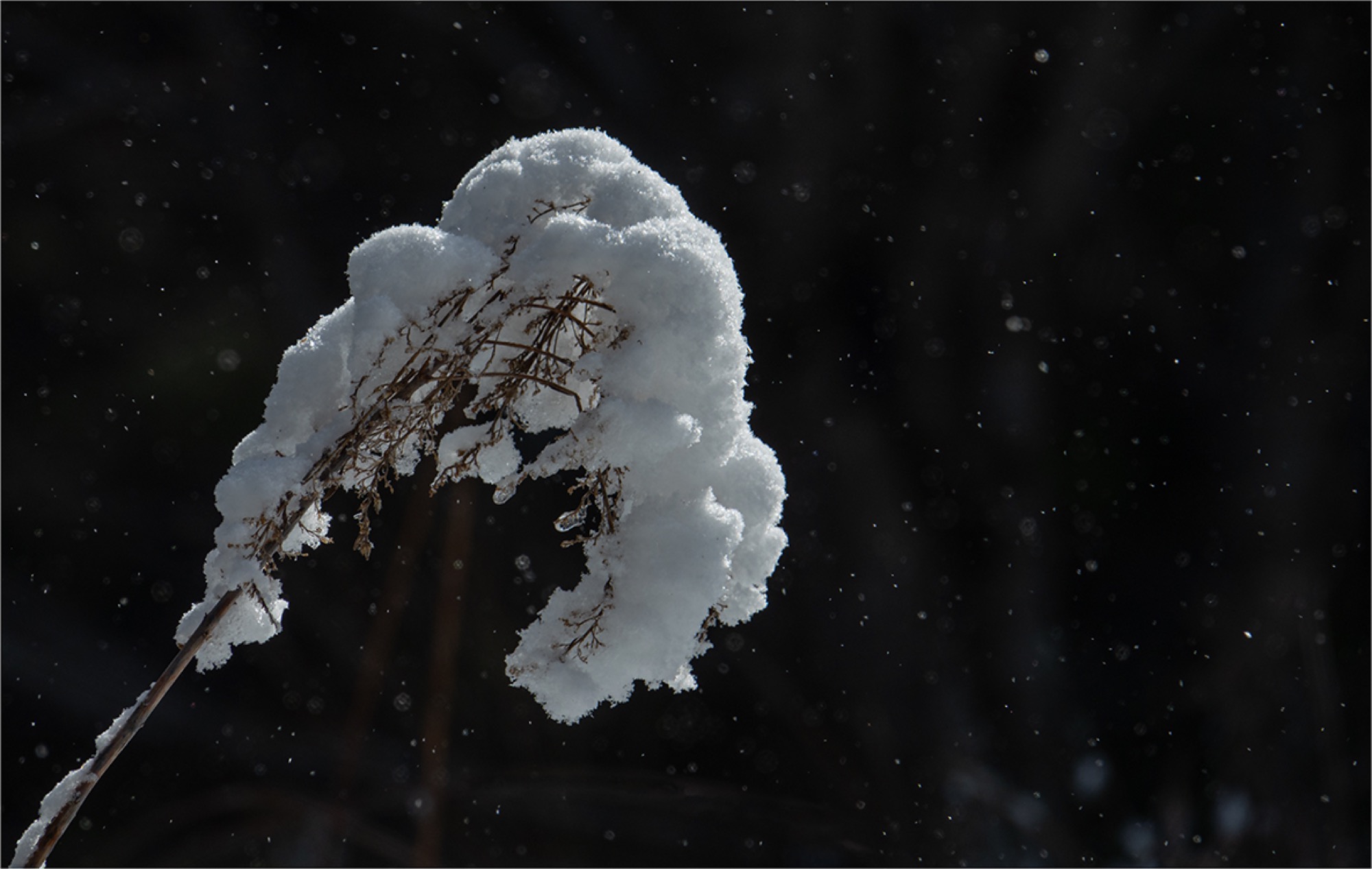 2020-4-1-OH-Robert Schwendemann-Wintereinbruch-DSC01706