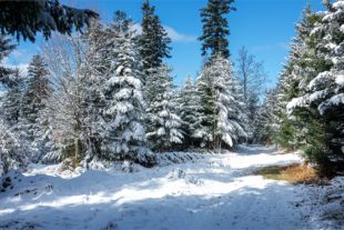 2020-4-1-OH-Robert Schwendemann-Wintereinbruch-DSC01718