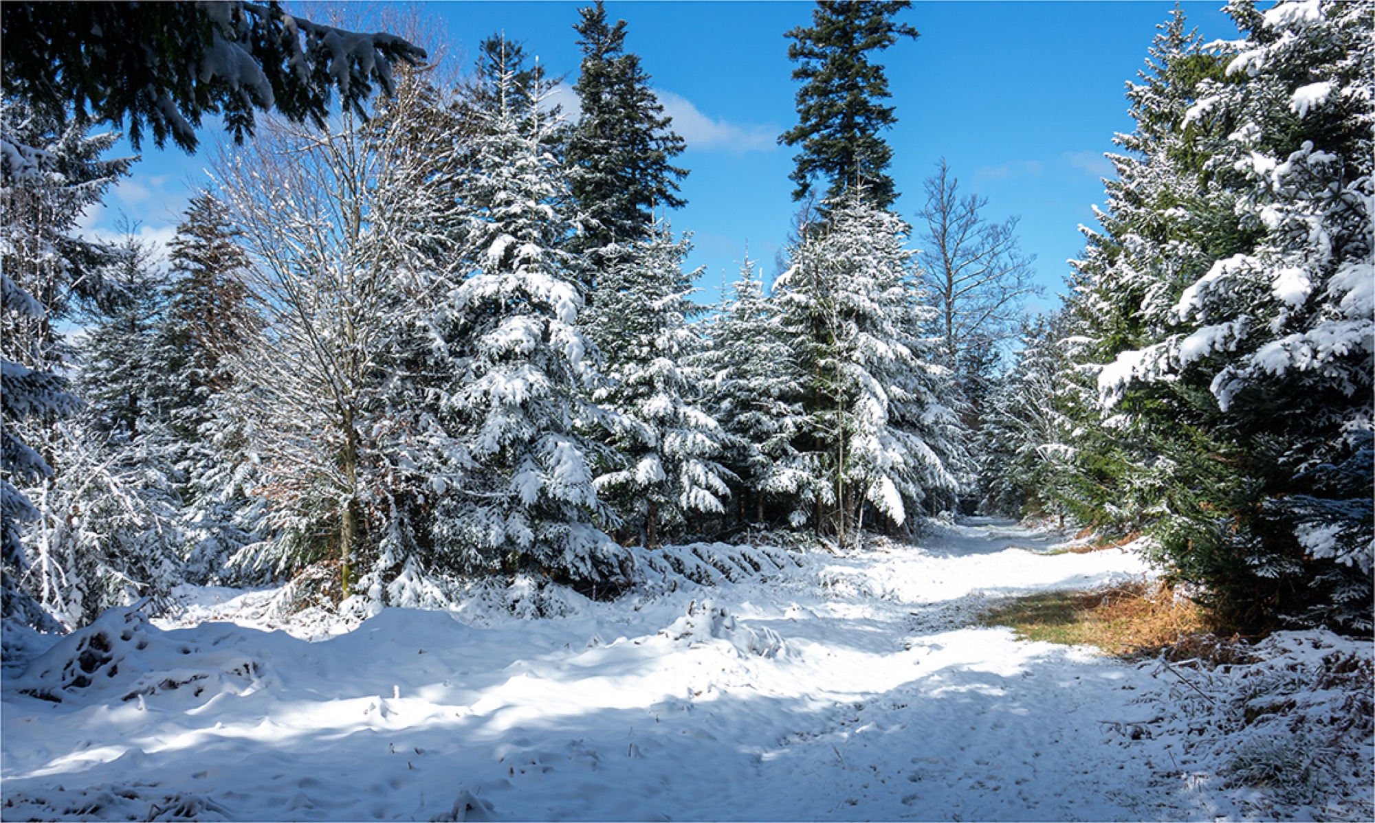 2020-4-1-OH-Robert Schwendemann-Wintereinbruch-DSC01718