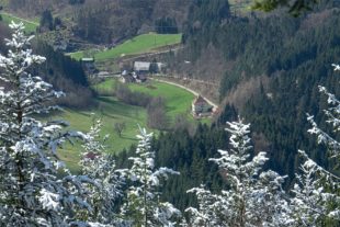 2020-4-1-OH-Robert Schwendemann-Wintereinbruch-DSC01740