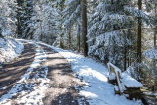 2020-4-1-OH-Robert Schwendemann-Wintereinbruch-DSC01750