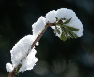 Winter-­ Impressionen im Frühling