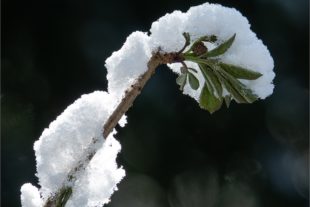 2020-4-1-OH-Robert Schwendemann-Wintereinbruch-DSC01751