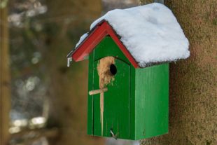 2020-4-1-OH-Robert Schwendemann-Wintereinbruch-DSC01754