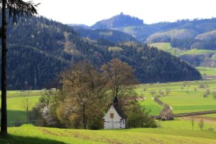 2020-4-17-ZE-UE-Franz Huber-Wanderwege als Heilmittel-Friedenskapelle