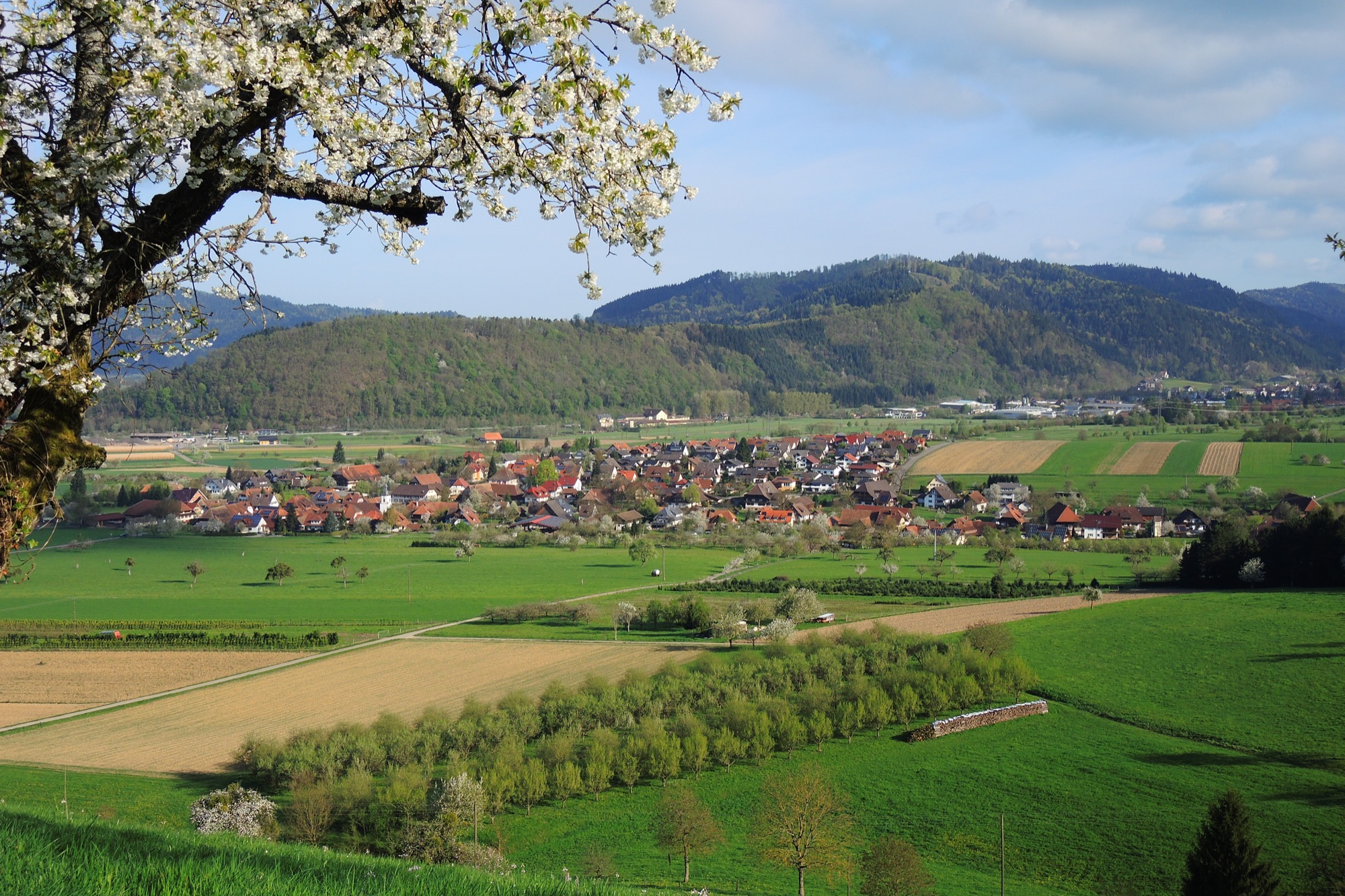 2020-4-17-ZE-UE-Franz Huber-Wanderwege als Heilmittel-Talblick Unterentersbach - Zell