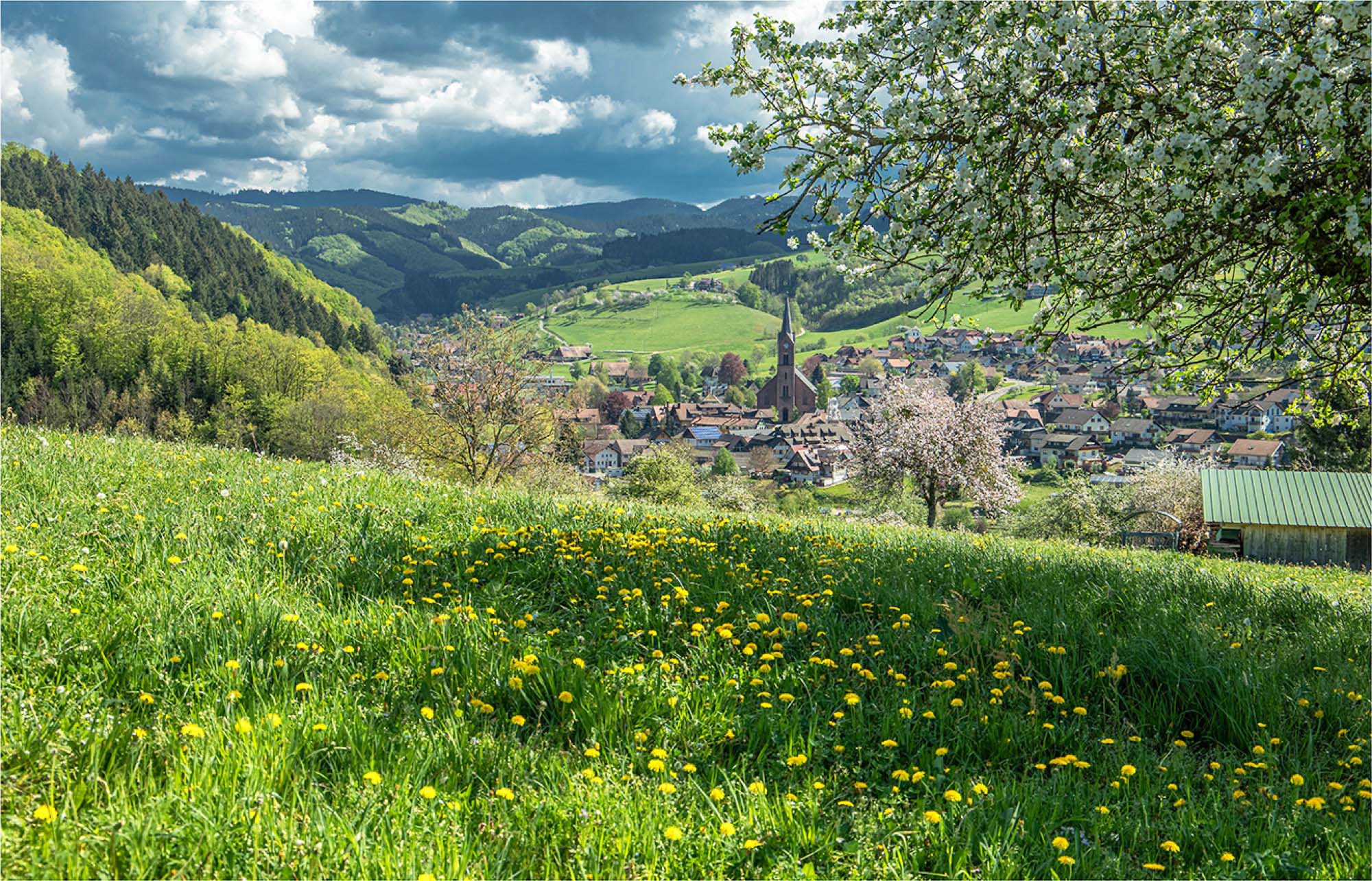 2020-4-24-OH-Robert Schwendemann-Frühling Oberharmersbach-5E0A5911-HDR