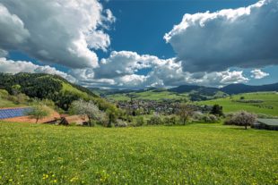 2020-4-24-OH-Robert Schwendemann-Frühling Oberharmersbach-Oha