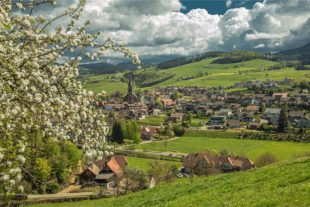 2020-4-24-OH-Robert Schwendemann-Frühling Oberharmersbach-Oha Frühl 1