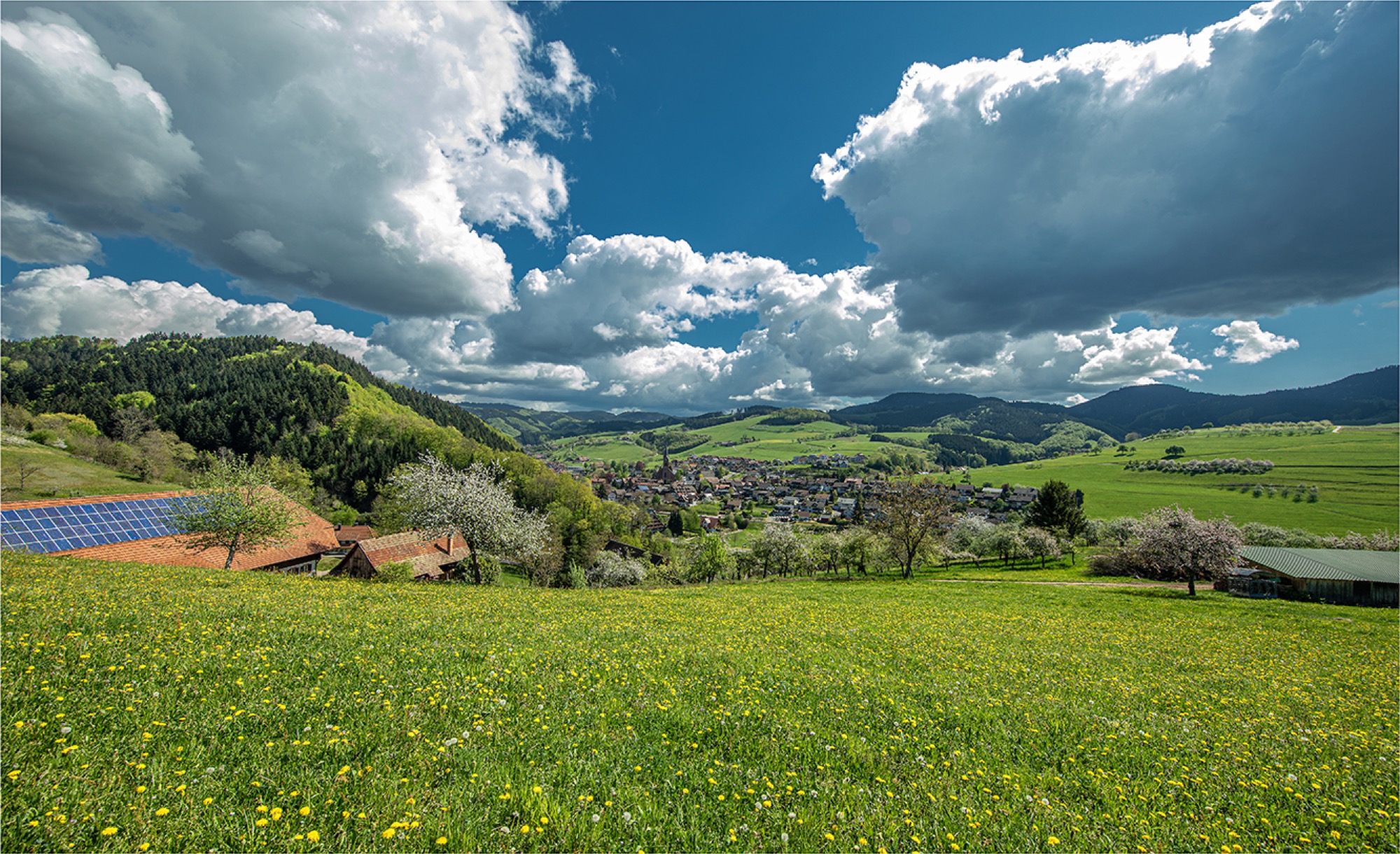 2020-4-24-OH-Robert Schwendemann-Frühling Oberharmersbach-Oha