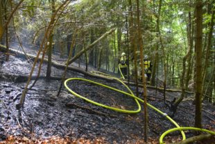 2020-4-27-BI-hps-Biberach Waldbrand-DSC_4943 2