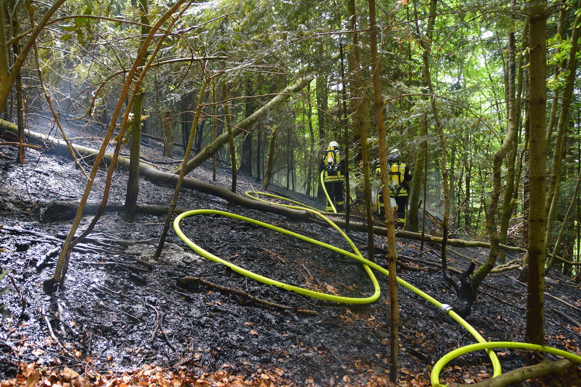 2020-4-27-BI-hps-Biberach Waldbrand-DSC_4943 2