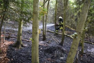 2020-4-27-BI-hps-Biberach Waldbrand-DSC_4971 2
