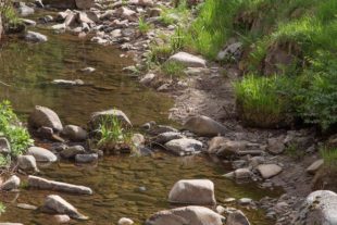 2020-4-28-OH-kal-Wasserklemme-zzvkMG8A4046b