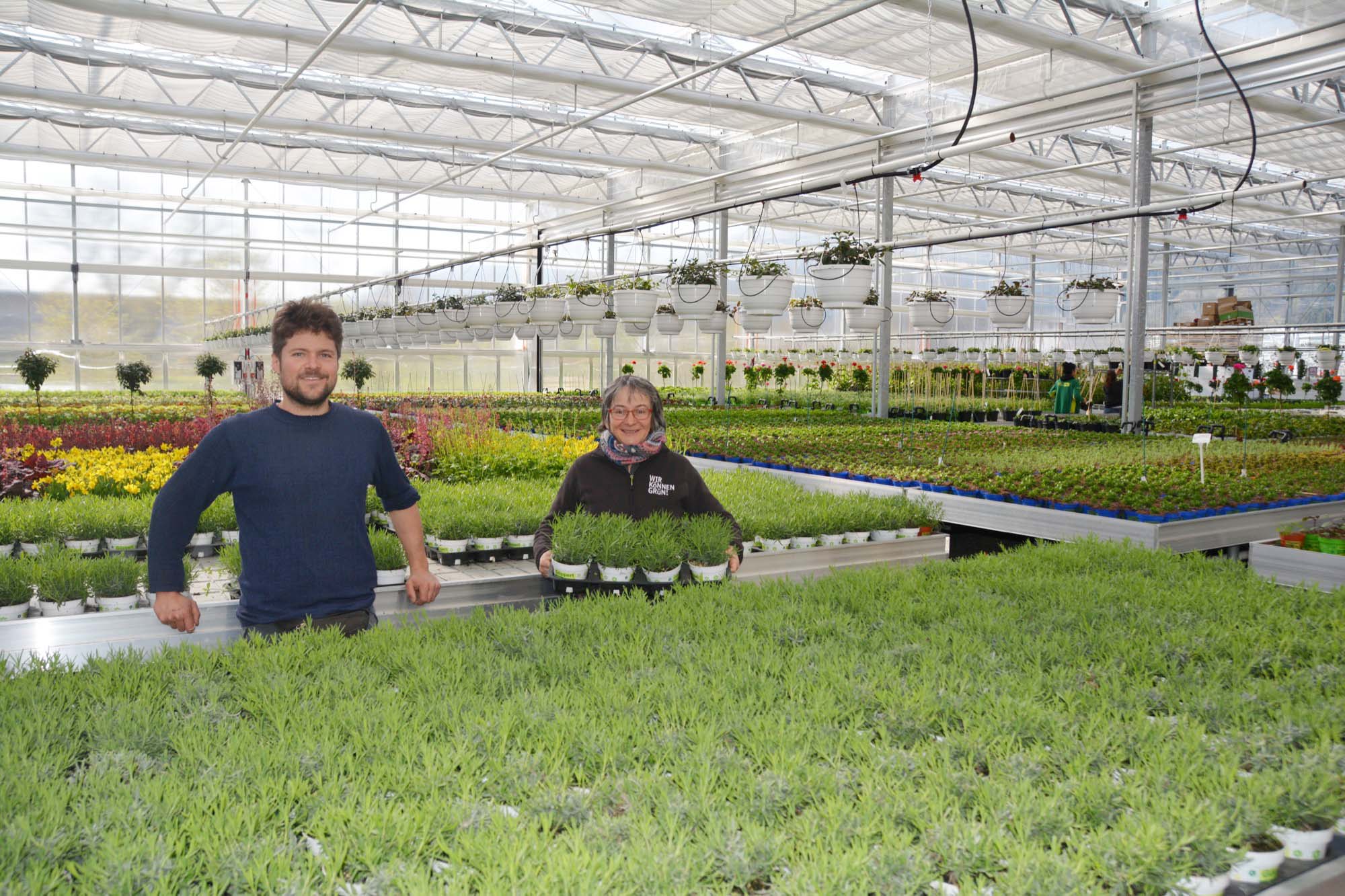 2020-4-3-HA-Haslach-hps-Gartencenter Göppert-DSC_4663 2