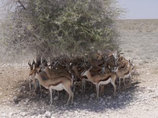 Predigten auf YouTube anschauen