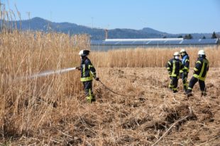 2020-4-6-ZE-UE-hps-Flächenbrand Chinaschilf-DSC_4689 2