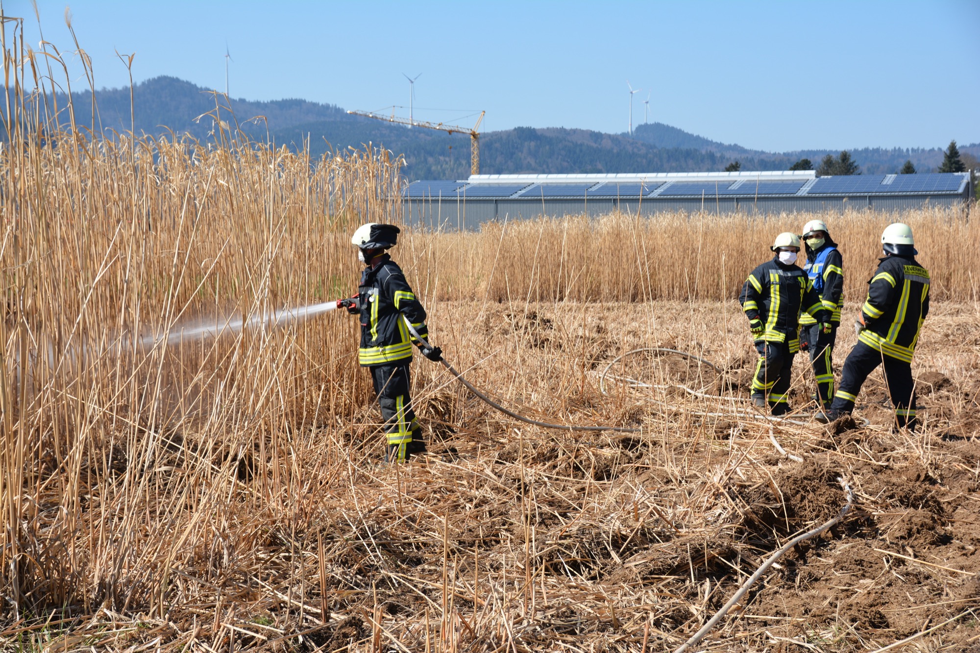 2020-4-6-ZE-UE-hps-Flächenbrand Chinaschilf-DSC_4689 2