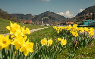 Wir sind gerne für Sie da!