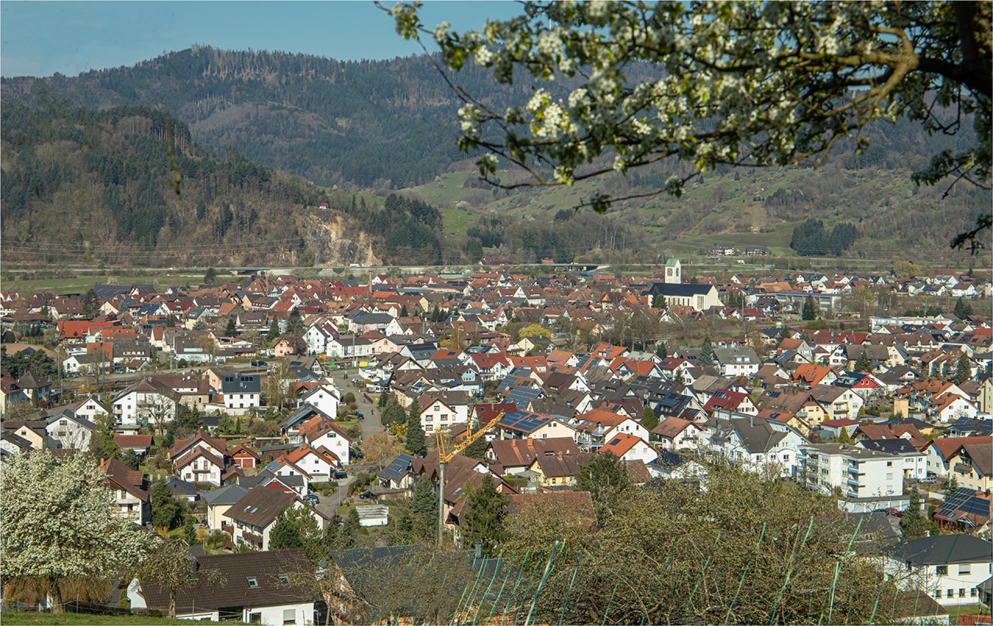 2020-4-7-Robert Schwendemann-Frühlingsbilder-5E0A4617