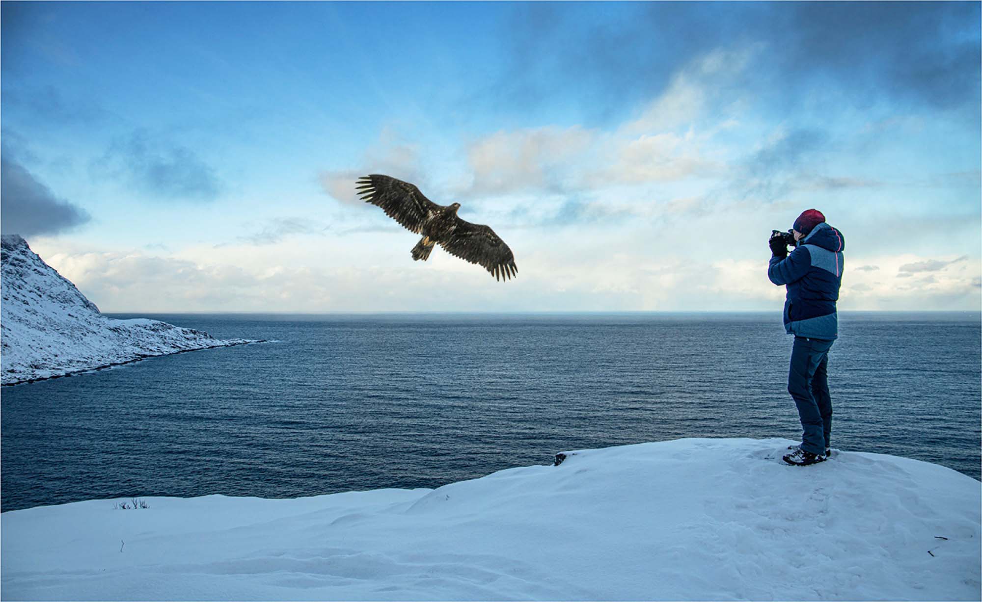 2020-4-9-OH-Robert Schwendemann- Norwegen Evi mit Seeadler