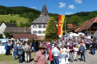 2017-5-22-BI-Prinzb-bia-Silberweg-Sektempfang 1