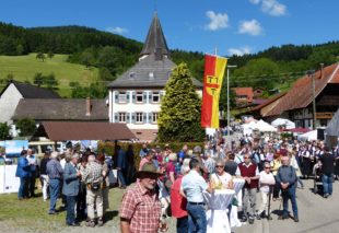 Überschuss im Eigenbetrieb Wasserwirtschaft